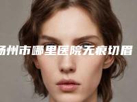 扬州市哪里医院无痕切眉手术好(扬州市美贝尔医疗美容有上榜)