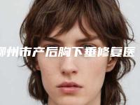 柳州市产后胸下垂修复医生排行top10强全新一览-柳州市产后胸下垂修复医生