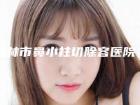 桂林市鼻小柱切除容医院哪家技术好-桂林时光(美莱)医学美容门诊部医生大咖口碑推荐